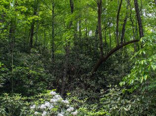 Fox Den Rd, Brevard, NC 28712