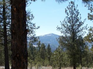 4 Lookout Trl, Riverside, WA 98849