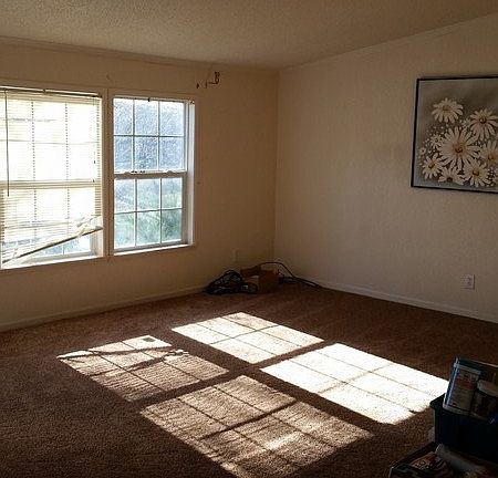 Spacious family room with natural light
						:
						Open concept throughout family, living, kitchen, and dining rooms.
