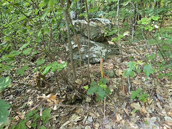 4th image of Lot 28 Davis Hill Road #28