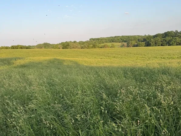 310th Ave, Moulton, IA 52572