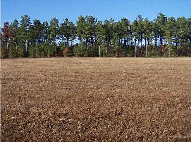 2nd image of River Rd