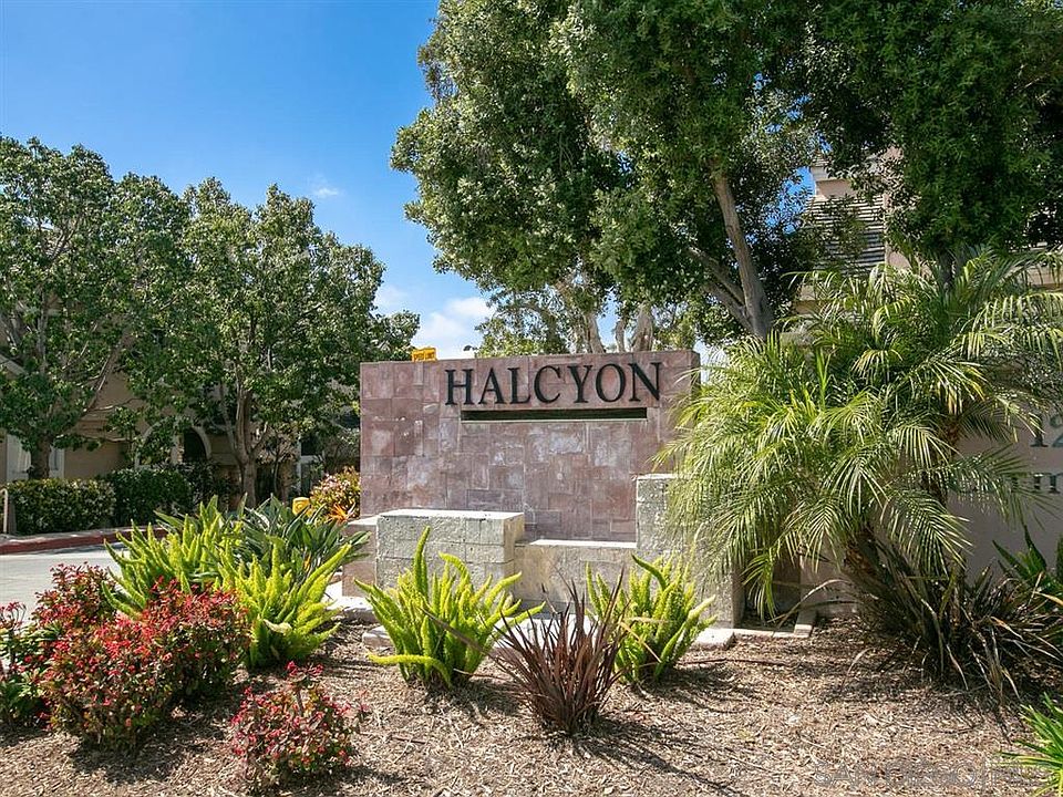 Halcyon Complex