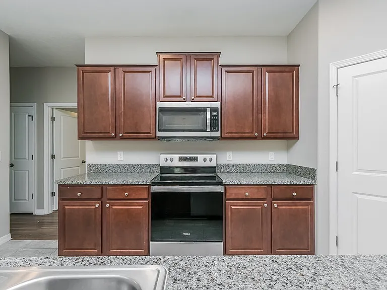 1616 Climbing Dayflower Dr — Photo 8