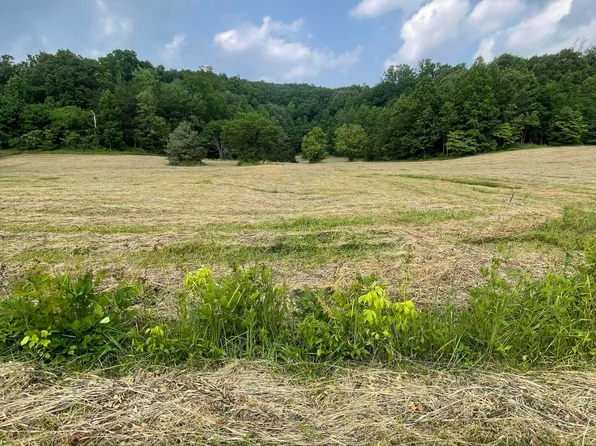 927 Morris Ln, Heidrick, KY 40949