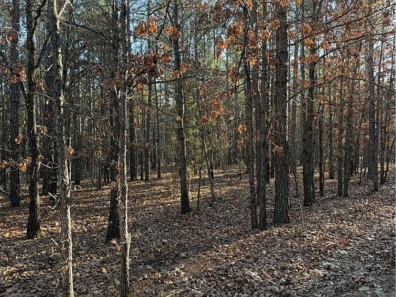 5th image of TRACT Two Rural