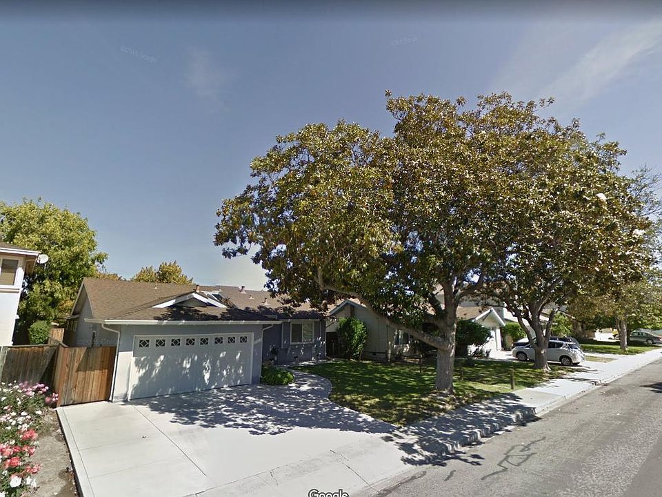 front yard