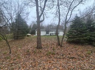 11153 Treimanis Way, Three Rivers, MI 49093