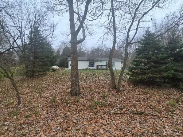 11153 Treimanis Way, Three Rivers, MI 49093