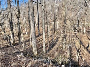 0 Right Fork Mill Creek Rd, Genoa, WV 25517