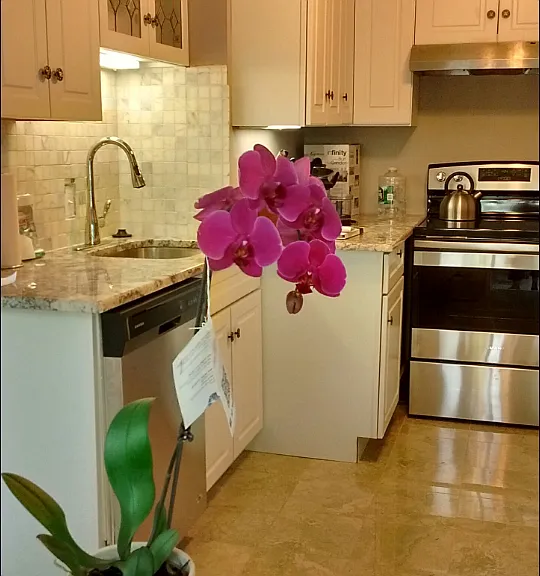 411 W Lancaster Ave #4 — Photo 8