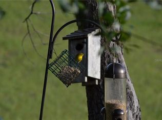 1133 Amherst Ter, Inverness, FL 34452