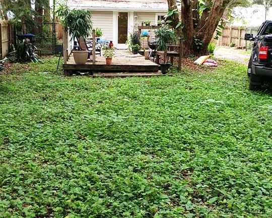 5th image of 1515 Groveland Ave
