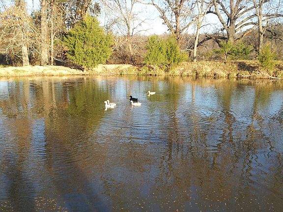 Spring fed pond