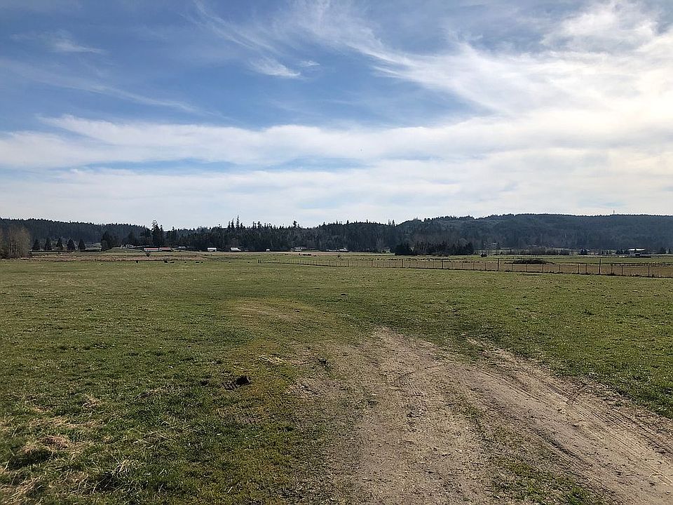 Rich pasture build ready 