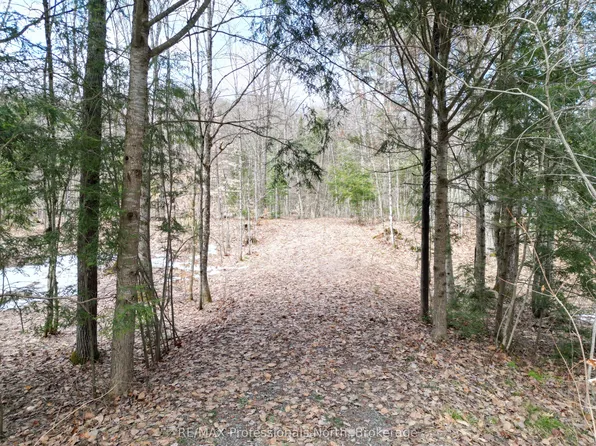 1231 Big Hawk Lake Rd, Algonquin Highlands, ON K0M 1J2