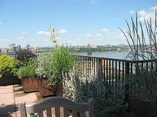 Rented by Citi Habitats | media 51