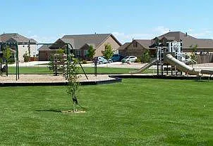 7505 Antelope Meadows Cir — Photo 50