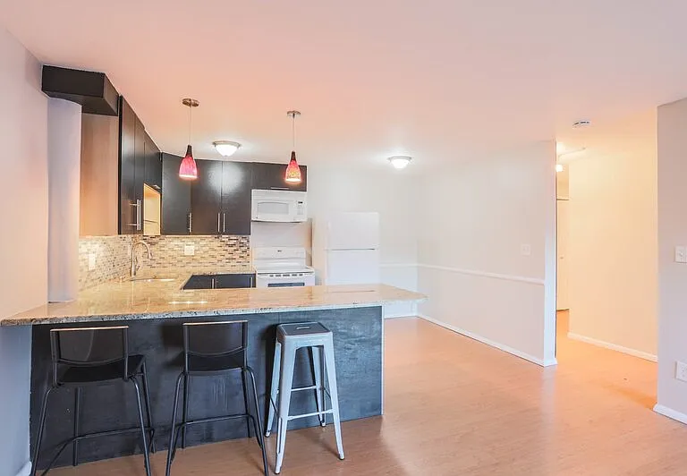 1243 N Gaylord St #204 — Photo 4