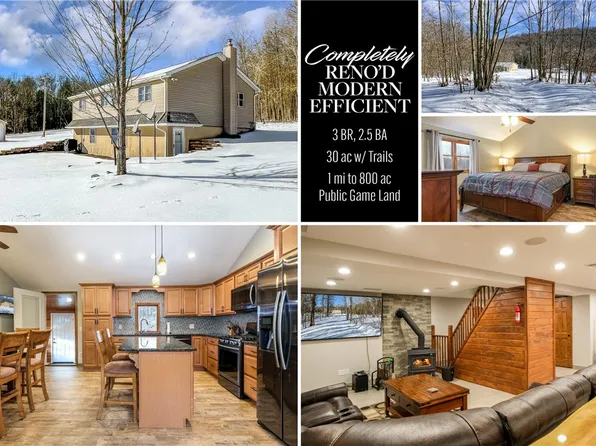 267 Hawkins Rd, Nineveh, NY 13813