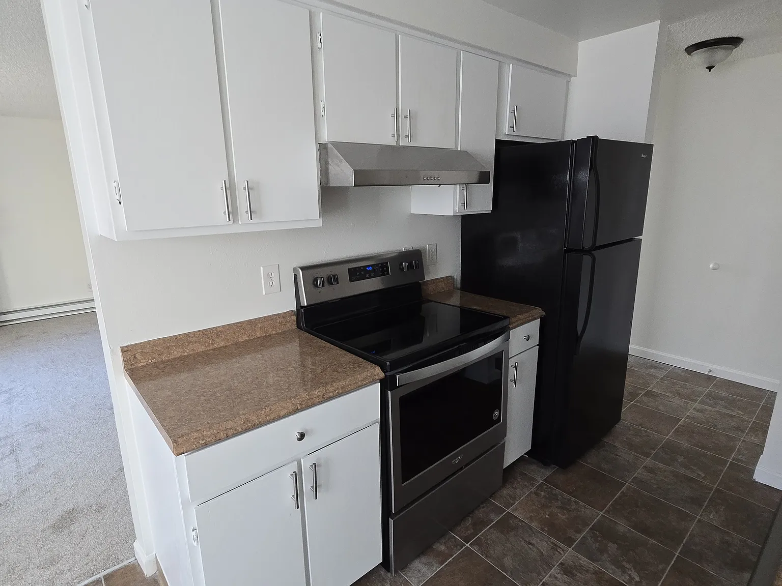 2 bed, 900 sqft, $1,595 — Photo 4