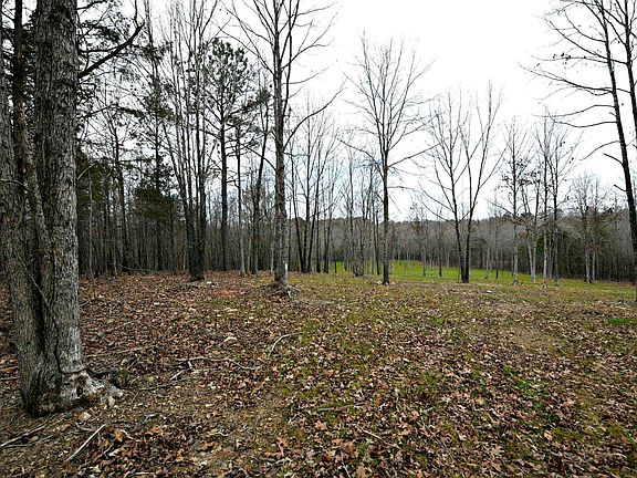 4th image of TRACT Three Polk Rd #158