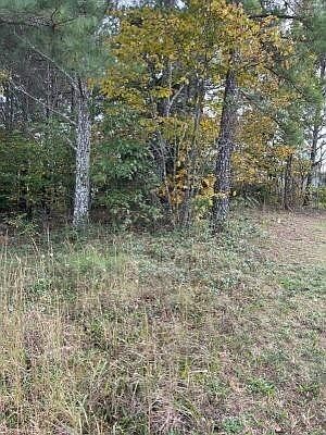 4th image of 42 SW Banberry Dr #42