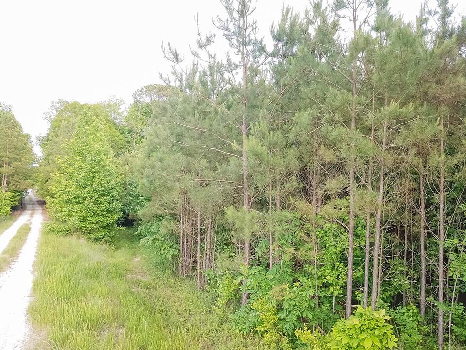 2nd image of TRACT Three Dry Branch Rd