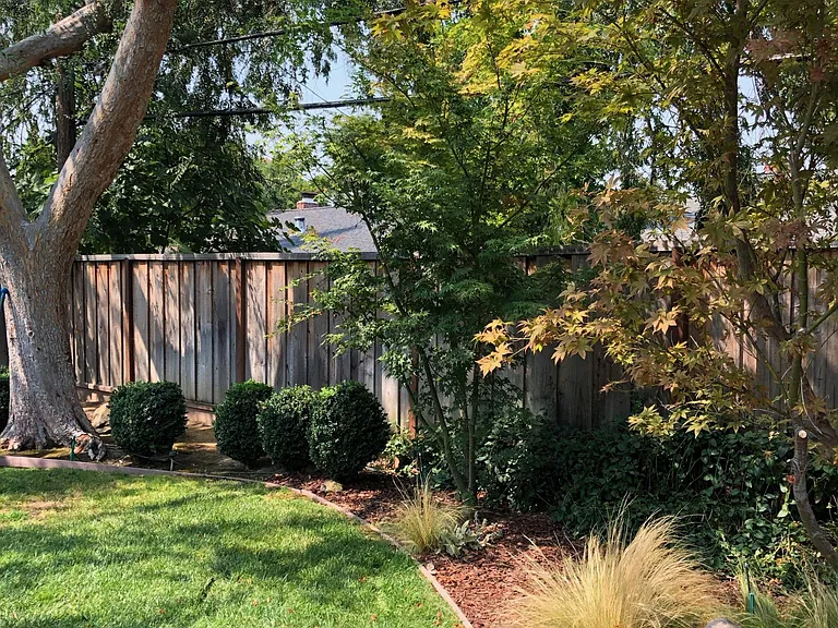 2493 Whitethorne Dr — Photo 20