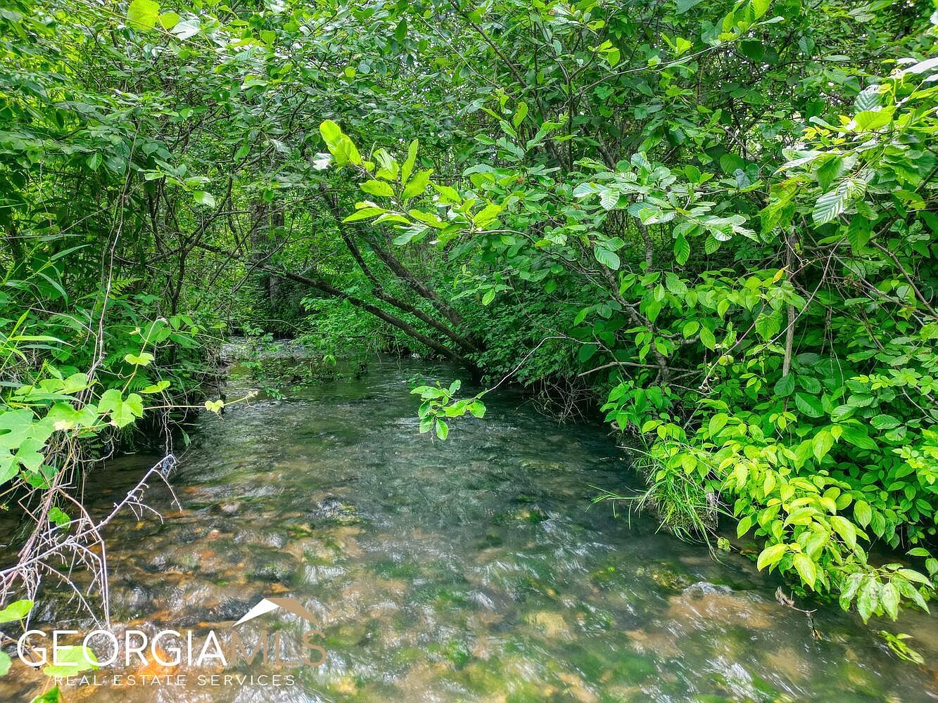 LOT 13 Rainey Valley Ln, GA 30560 MLS 10167848 Zillow