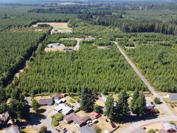 9999 Lot 1 King Johns Way, Forks, WA 98331