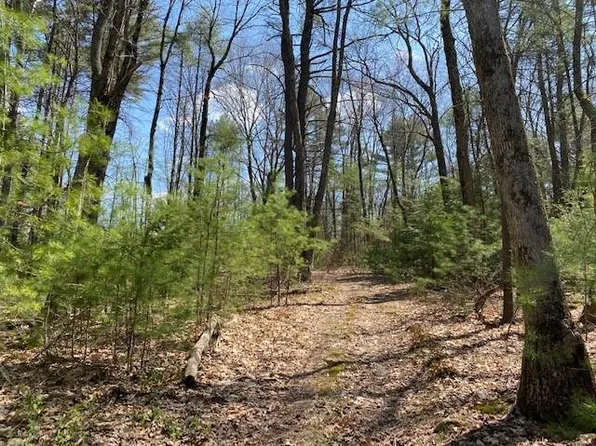 Lot #36 Leers Road, Glen Spey, NY 12737
