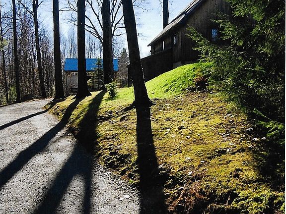 lower driveway behind garage