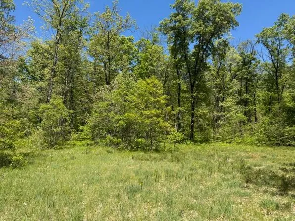 PARCEL B W Usfs #5196, Baldwin, MI 49304