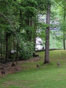 1466 W Lake Dr, Gainesville, GA, 30501