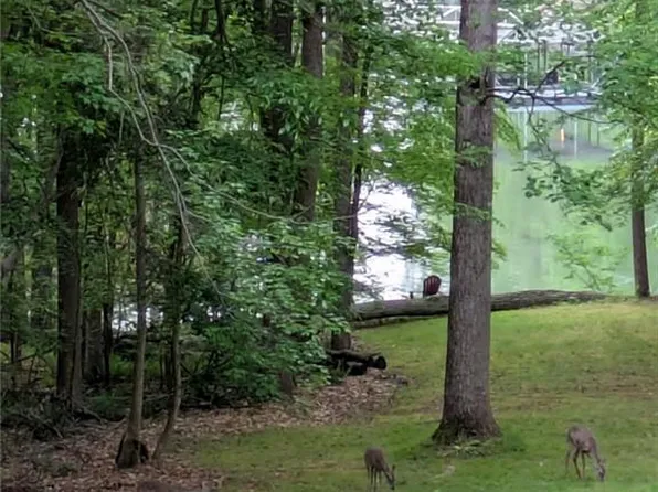 1466 W Lake Dr, Gainesville, GA 30501