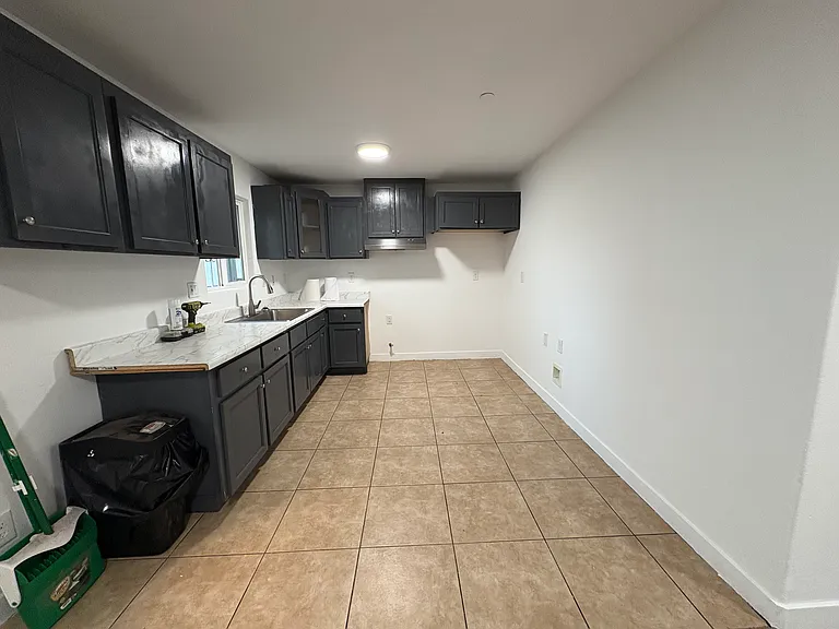 133 E 84th Pl — Photo 2