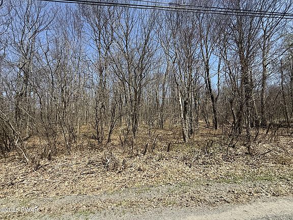 4th image of Salem Mountain Rd
