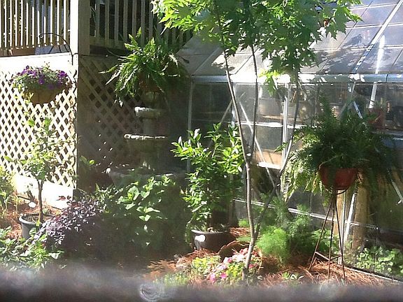 Greenhouse and Fountain