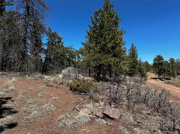 343 Brophy Drive LOT 343, Fort Garland, CO 81133