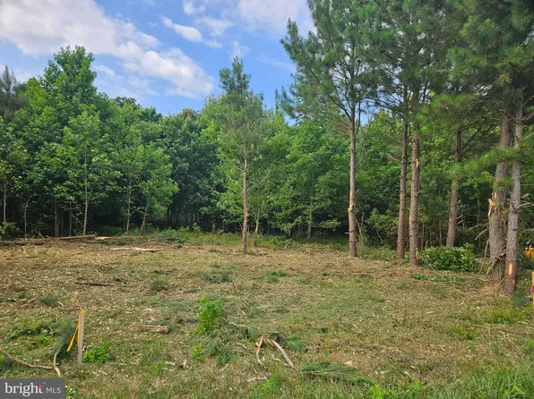 LOT 4 Bacons Rd, Laurel, DE 19956