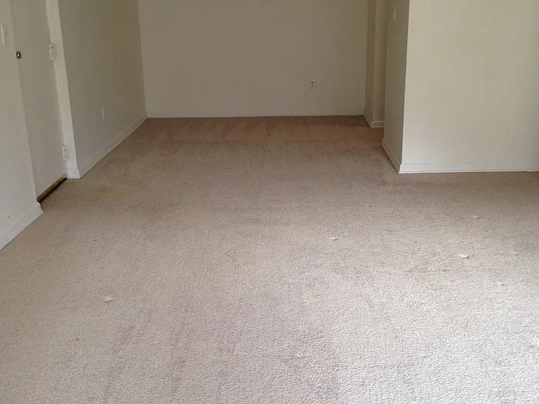 Olympia Park Apartments 1 and 2 Bedroom Units Available THIS SUMMER! — Photo 29
