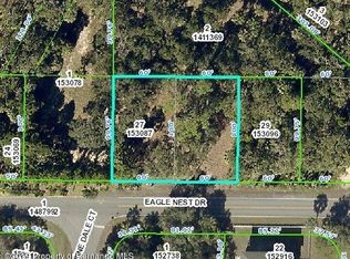 4051 Eagle Nest Dr, Spring Hill, FL 34607