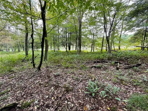 0 Newman Hill Road, Hankins, NY 12741