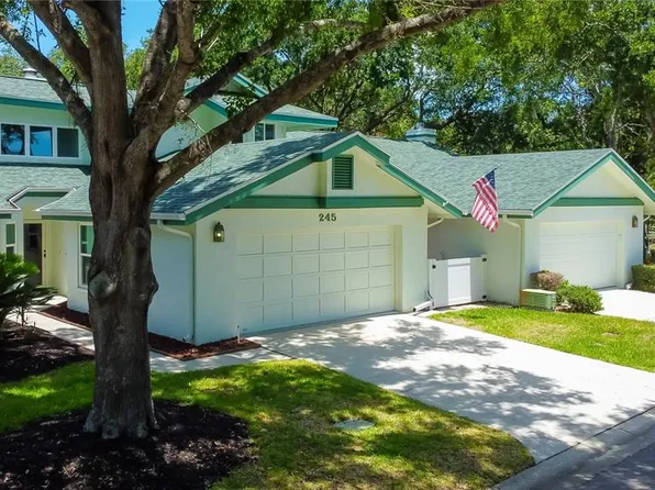 245 Woodridge Cir, Oldsmar, FL 34677