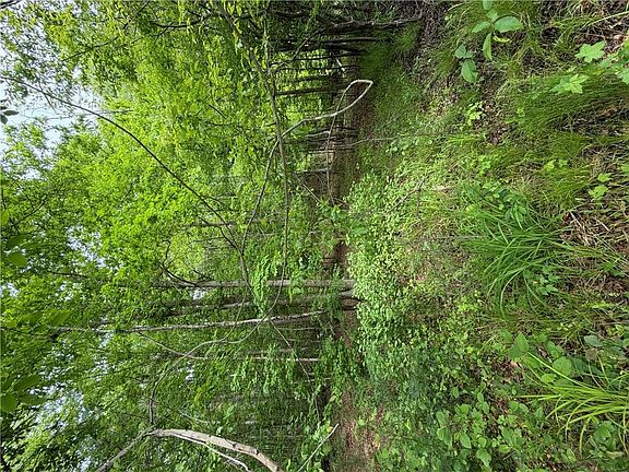 5th image of 188 Belford Way Lot 33