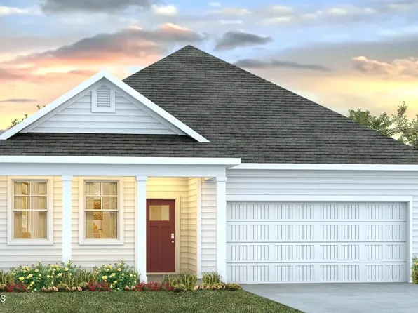 1021 Pampas Grass Drive Lot 320, Castle Hayne, NC 28429