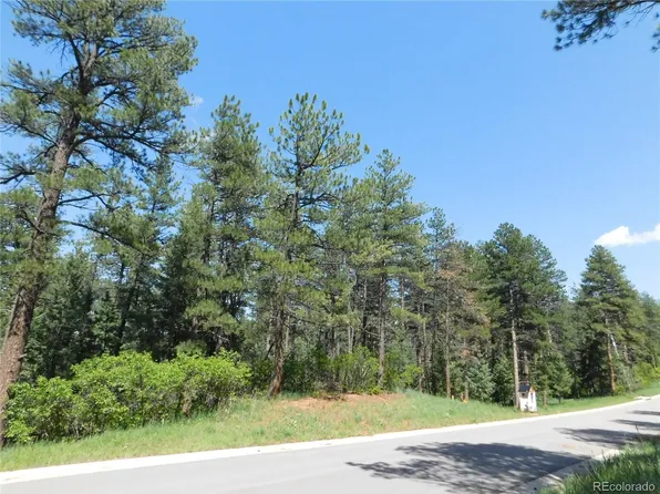8118 Bannock Drive, Larkspur, CO 80118