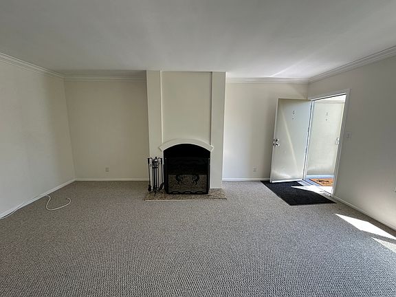 Wood-burning fireplace