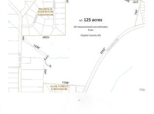 11485 Panhandle Rd, Hampton, GA 30228